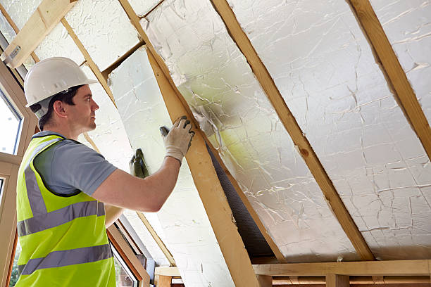Best Geographic-Specific Insulation Services in Port Hueneme, CA
