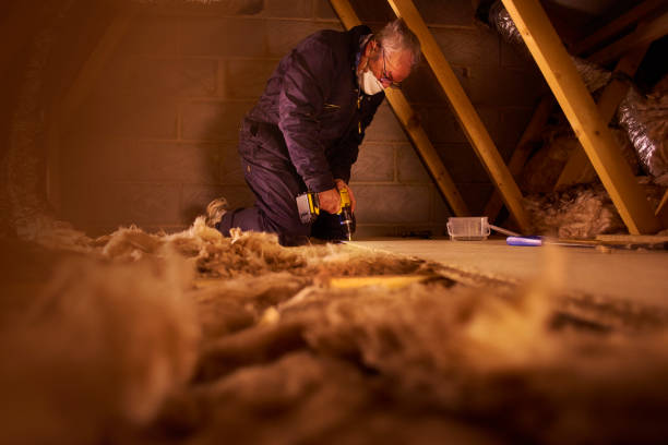 Best DIY Insulation Kits and Guidance in Port Hueneme, CA